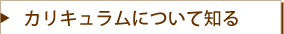 カリキュラムについて知る