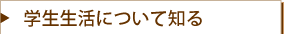 学生生活について知る